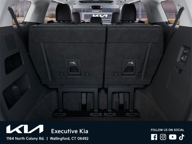 2026 Kia Carnival SX photo 14
