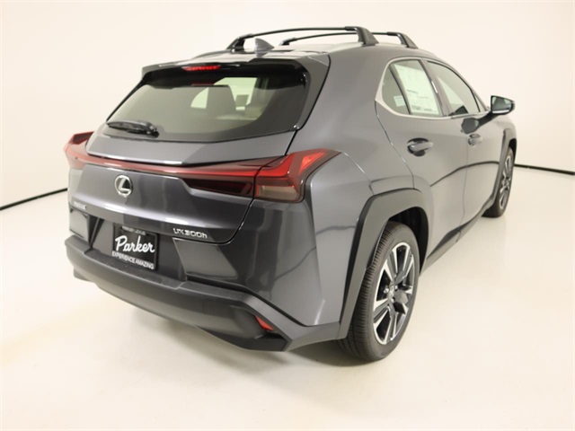 2025 Lexus UX photo 4
