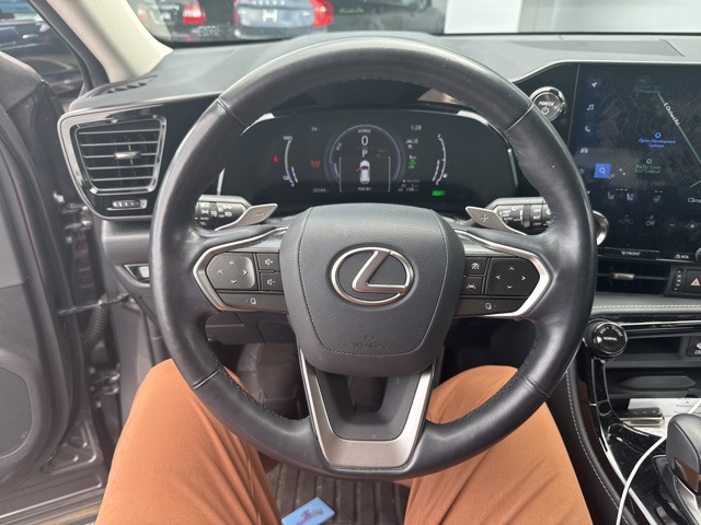 2024 Lexus NX 450h+ Luxury photo 5