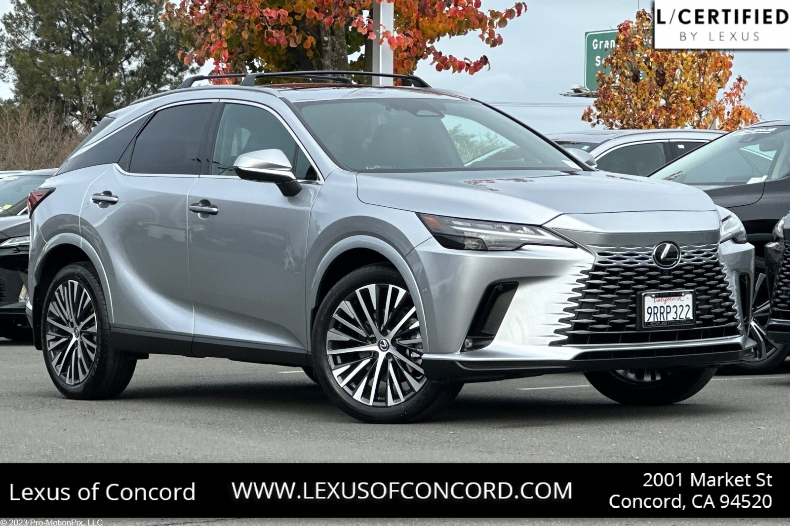 2025 Lexus RX Hybrid 350h's photo