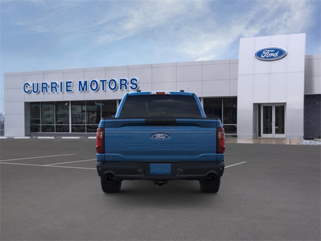 2025 FORD F-150 - Image 27