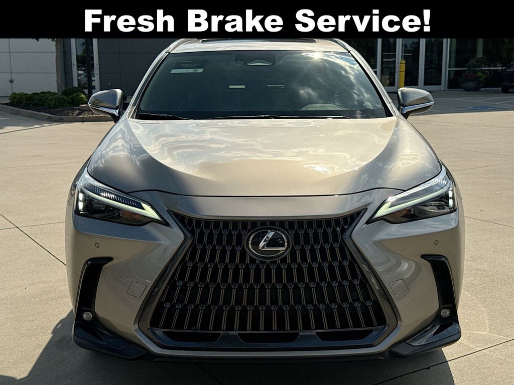 2024 Lexus NX 250 Premium photo 4