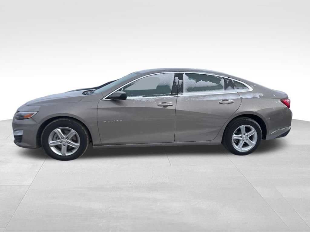 2024 Chevrolet Malibu 1LS's photo