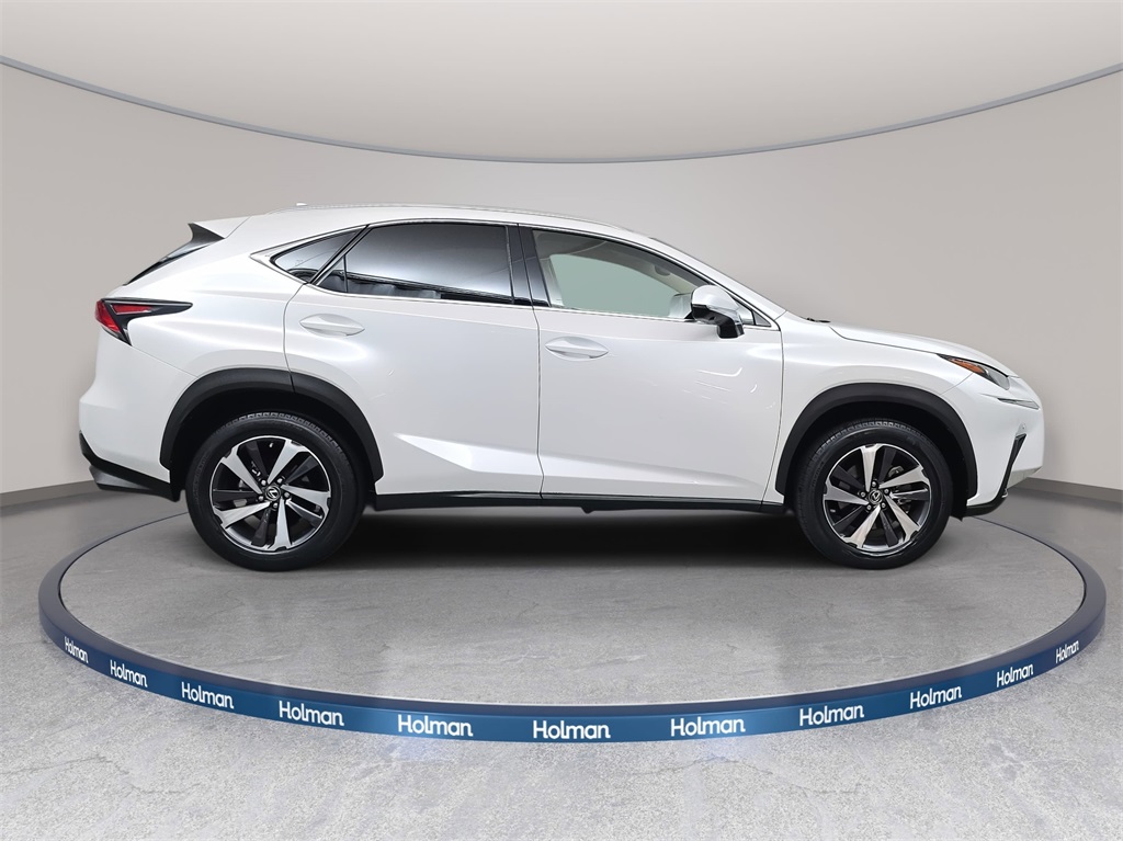 2019 Lexus NX 300 Luxury photo 3