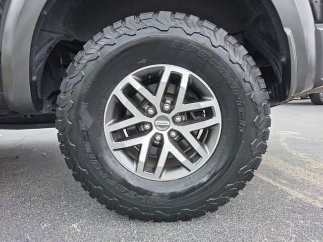 2017 Ford F-150 Raptor photo 25