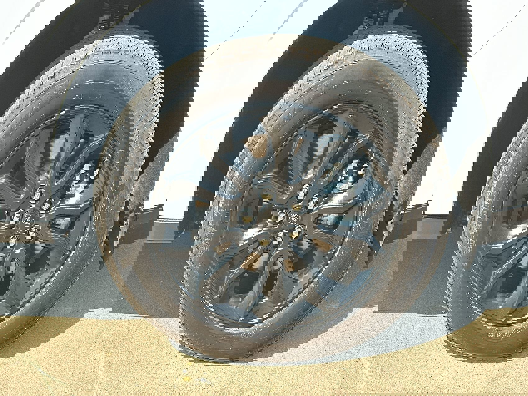 2024 Ford Maverick XLT photo 10
