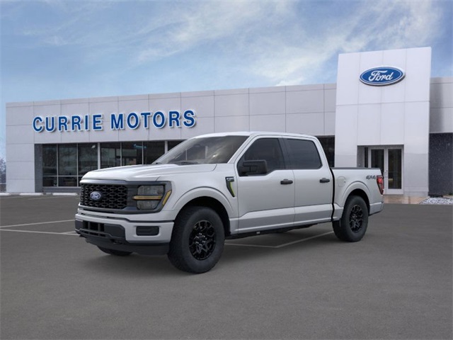 2025 Ford F-150 STX's photo
