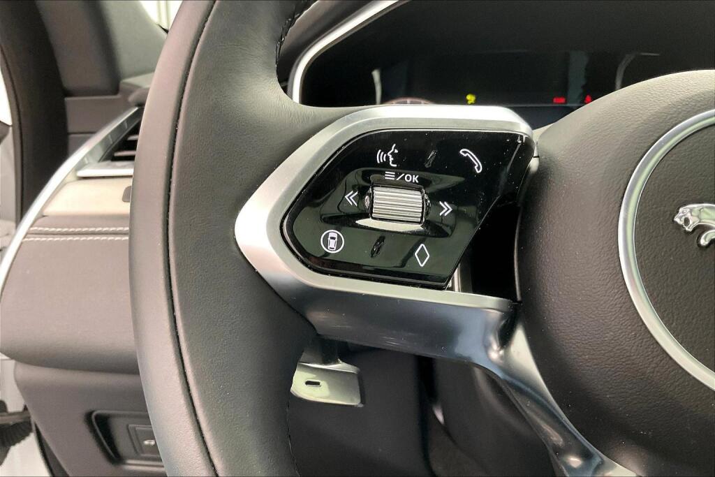 2025 Jaguar F-PACE P250 R-Dynamic S photo 12