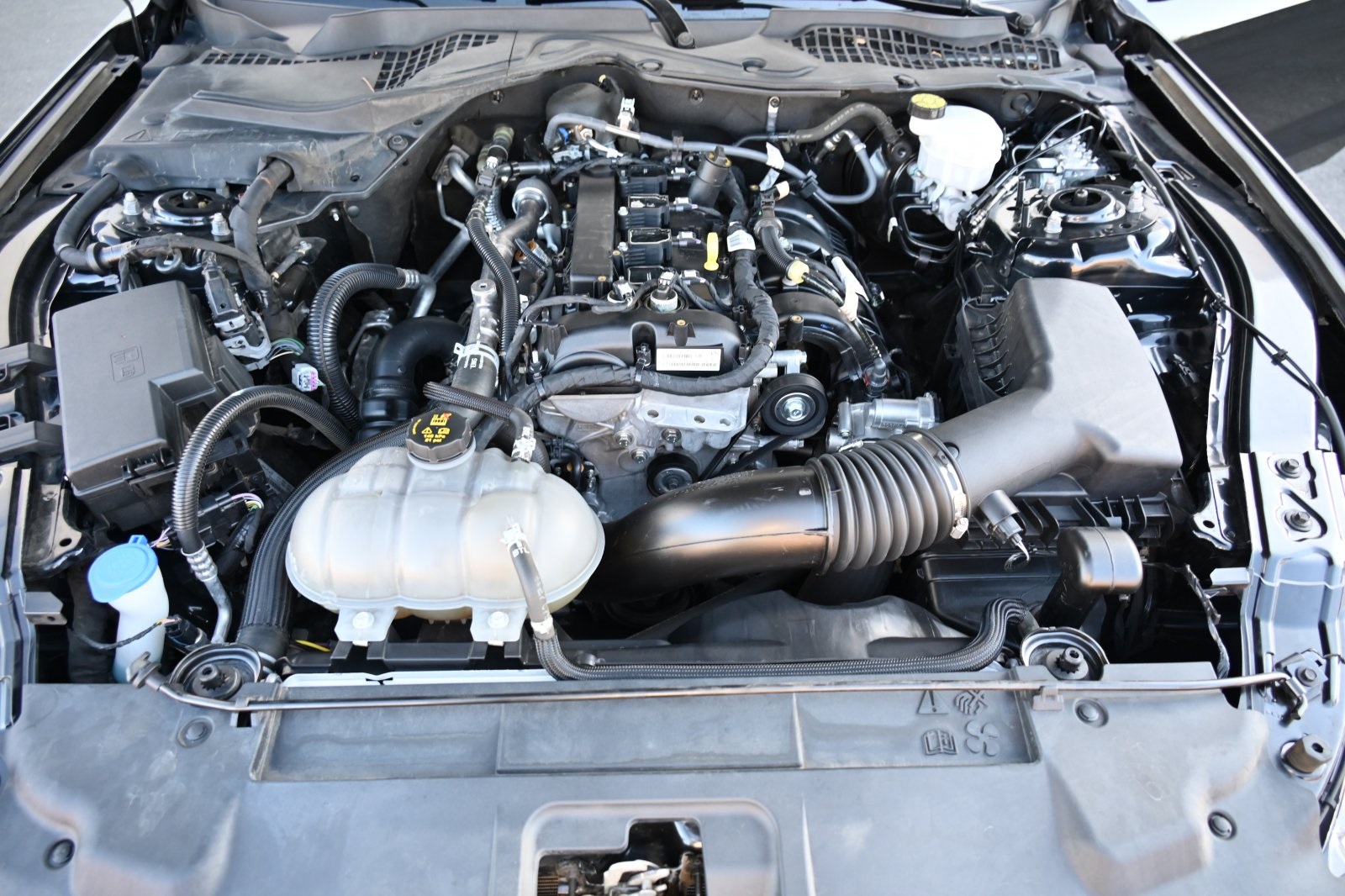 2021 Ford Mustang EcoBoost photo 21