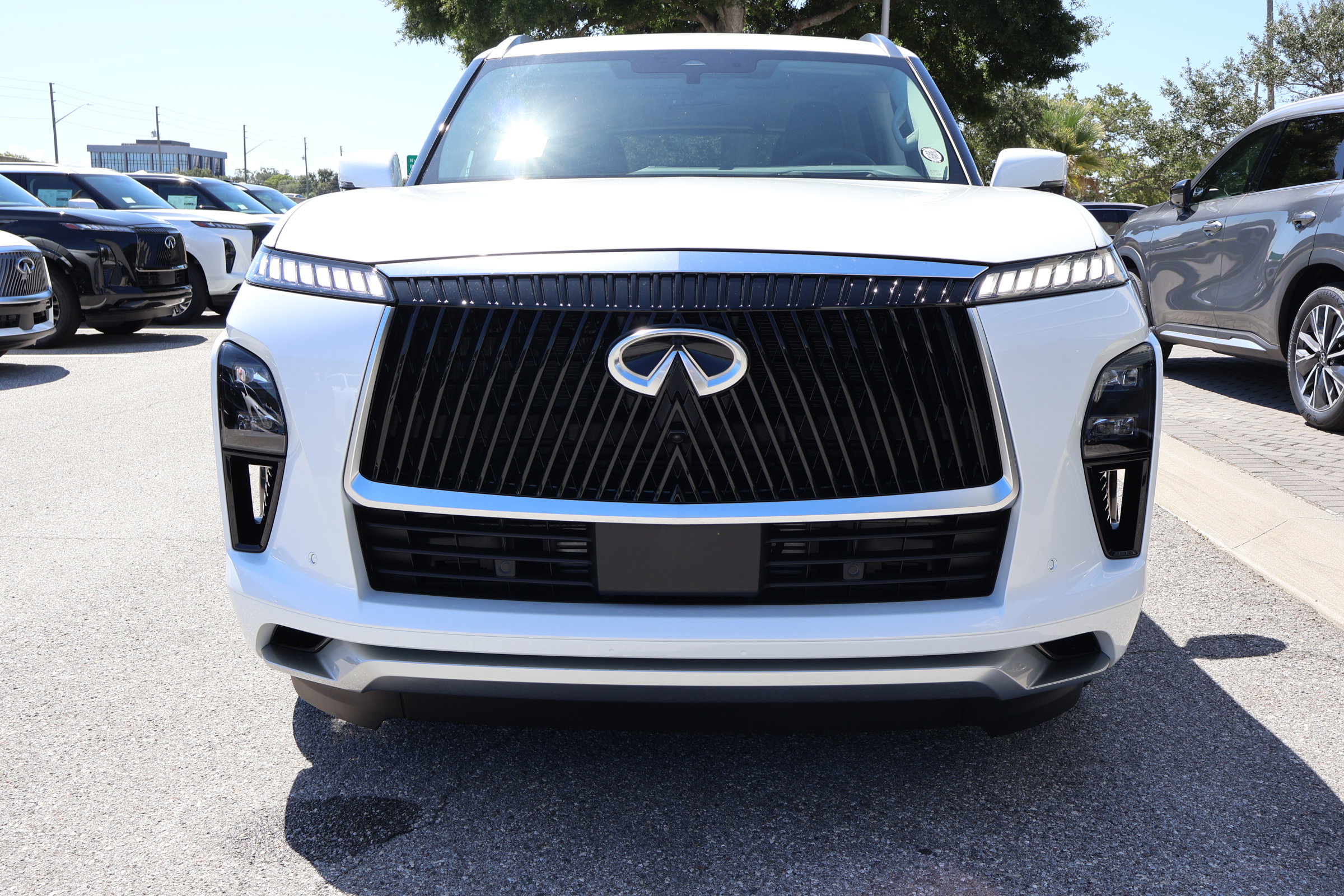 2026 Infiniti QX80 Luxe photo 11