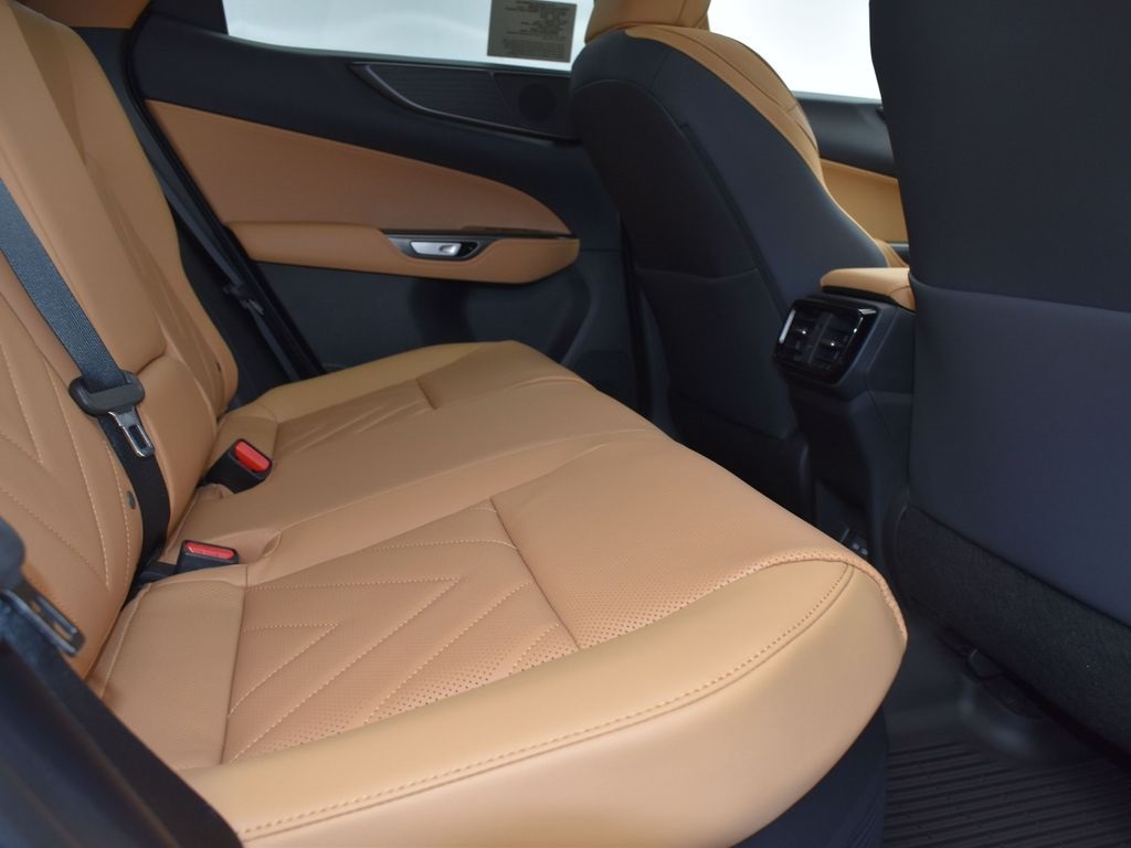 2025 Lexus NX 450h+ Luxury AWD photo 20