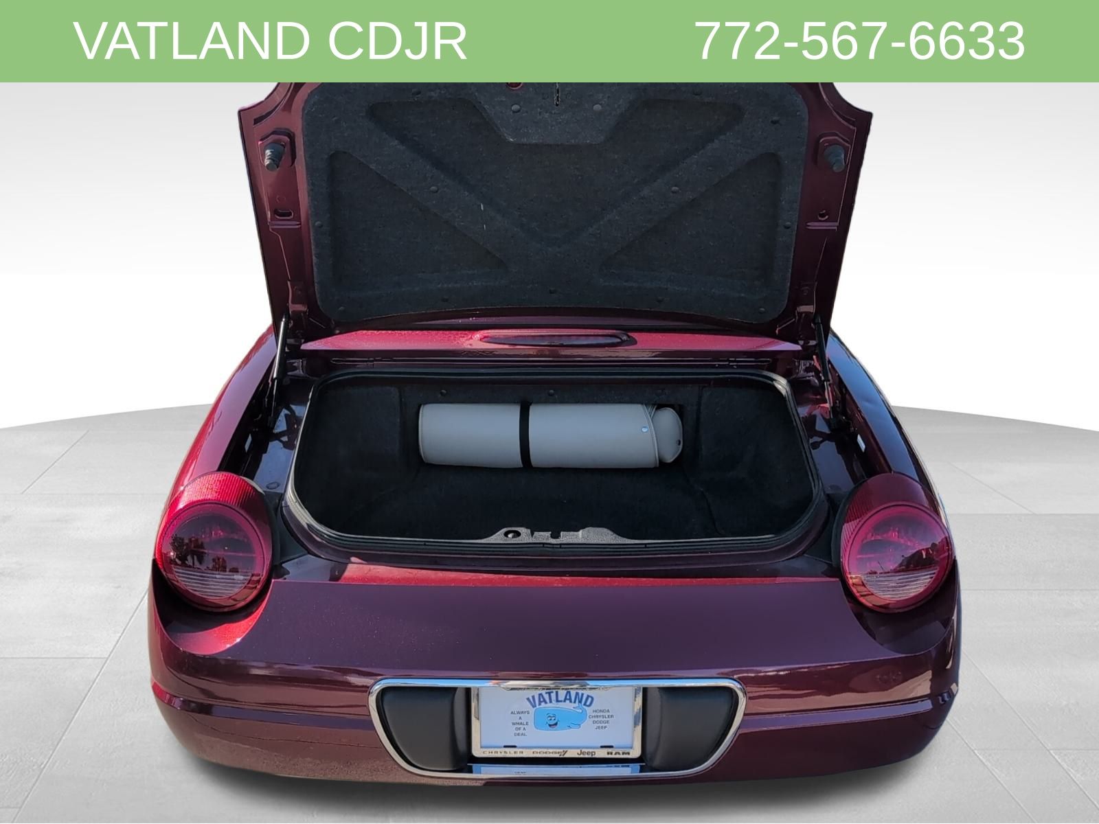 2004 Ford Thunderbird photo 23
