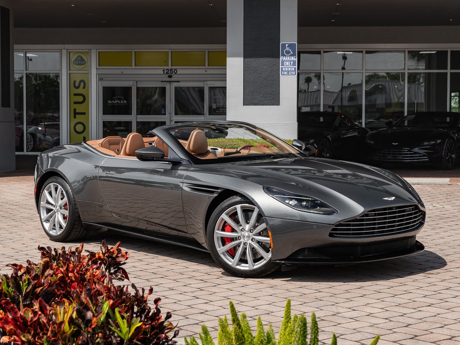 2019 Aston Martin DB11 AM5 photo 12