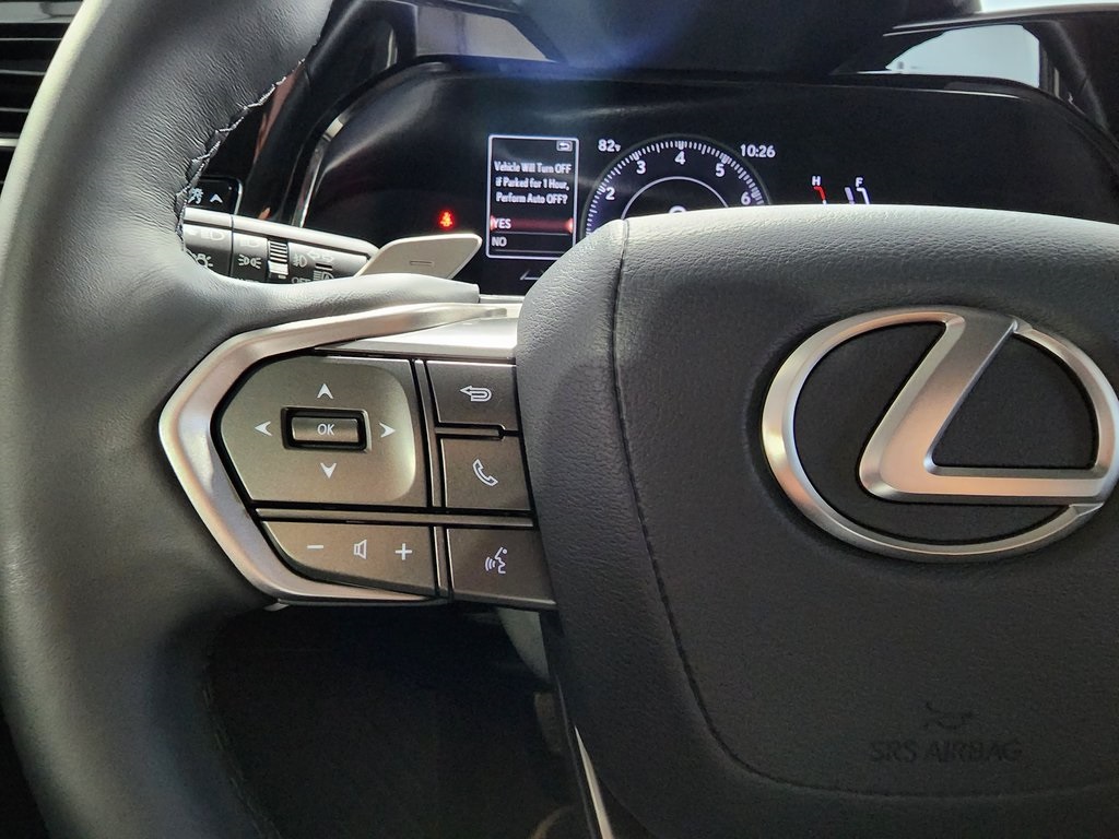 2025 Lexus NX 250 photo 14