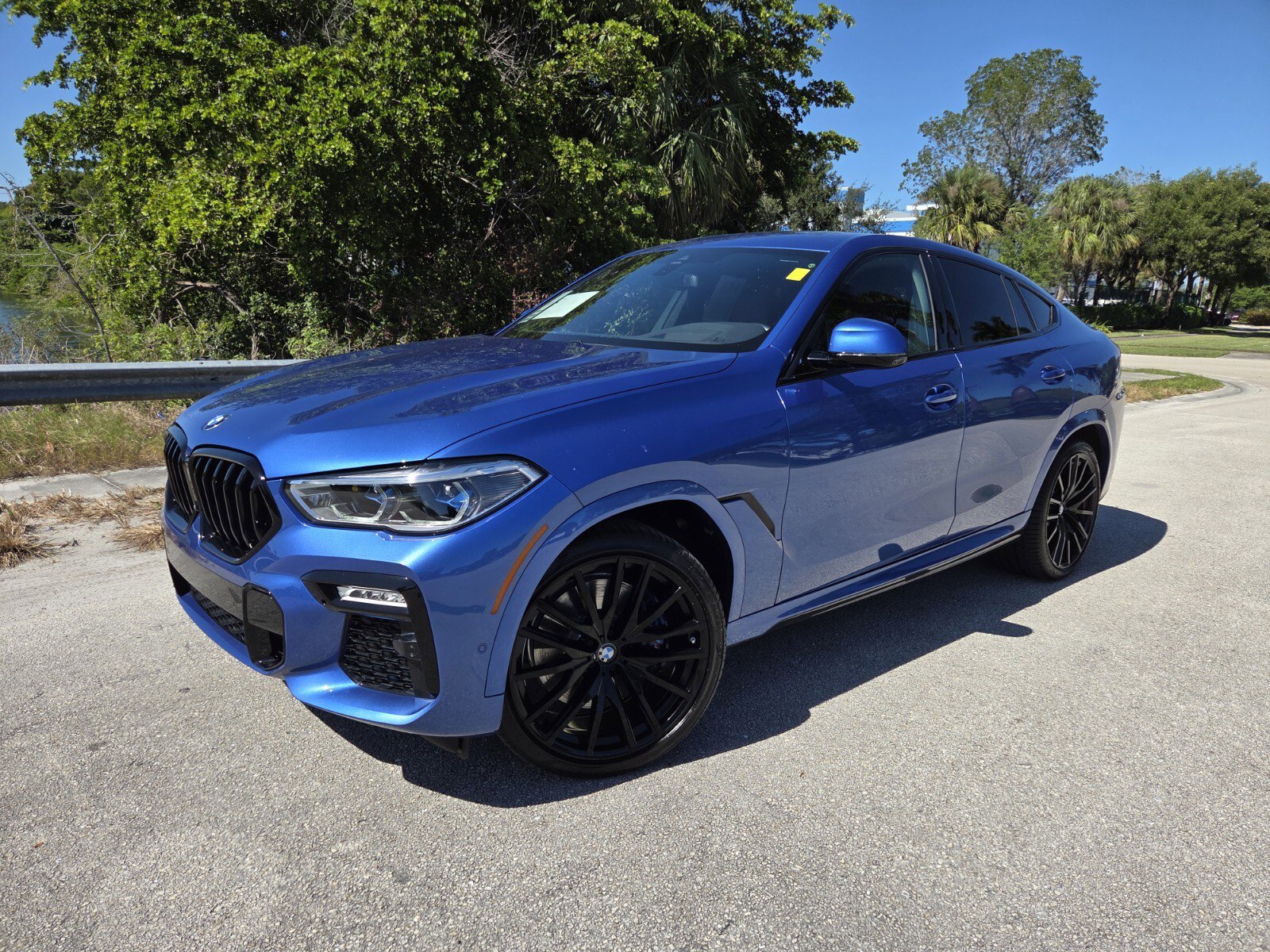 2020 BMW X6 40i's photo