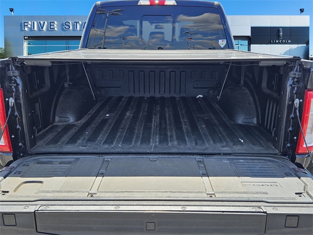 2021 Ford F-150 King Ranch photo 7