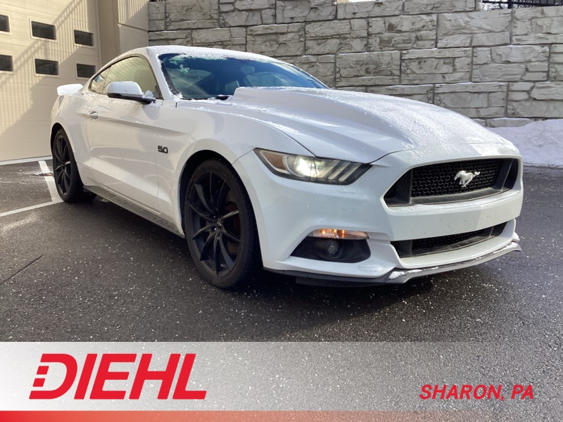 2015 Ford Mustang Mach 1's photo