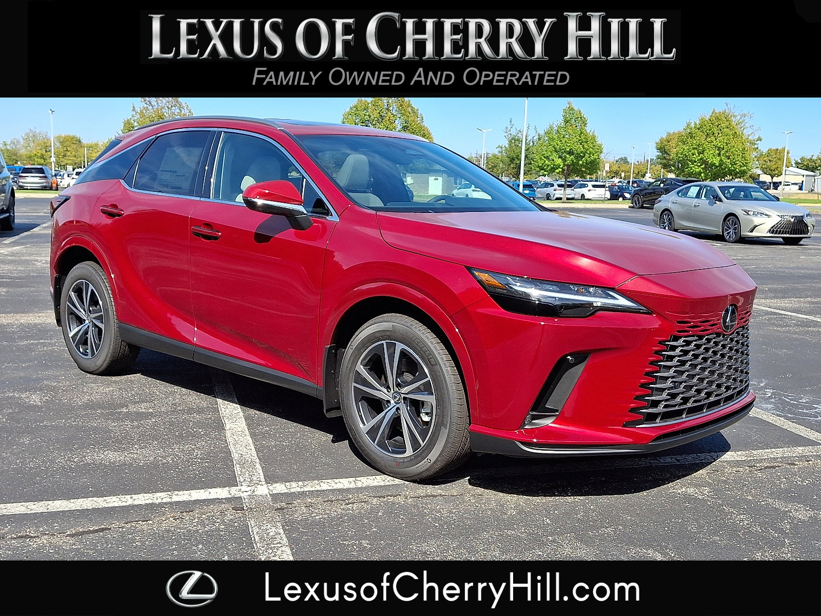 2025 Lexus RX 350's photo