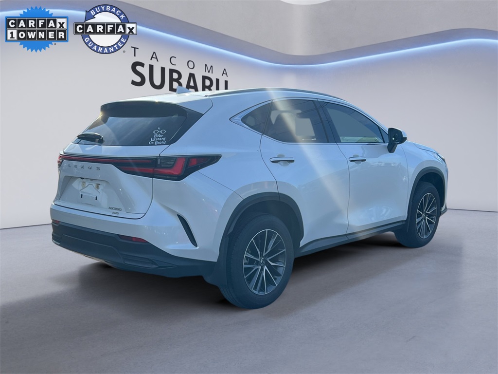 2024 Lexus NX 350 photo 4