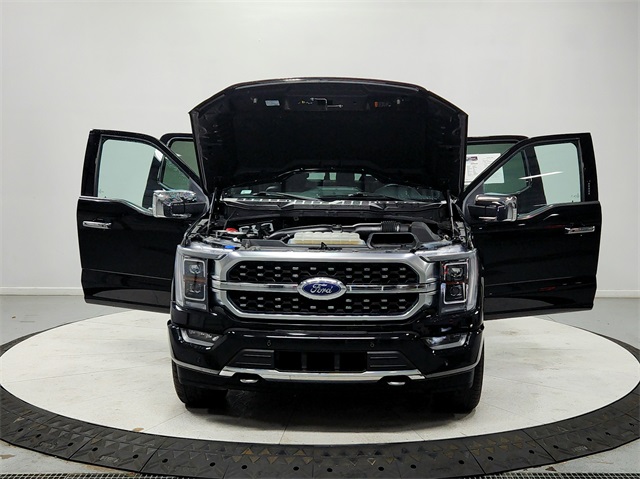 2023 Ford F-150 Platinum photo 10