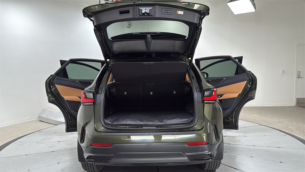 2024 Lexus NX 350 Luxury photo 13
