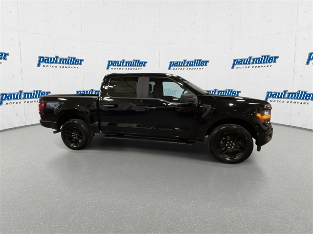 2025 Ford F-150 STX photo 13