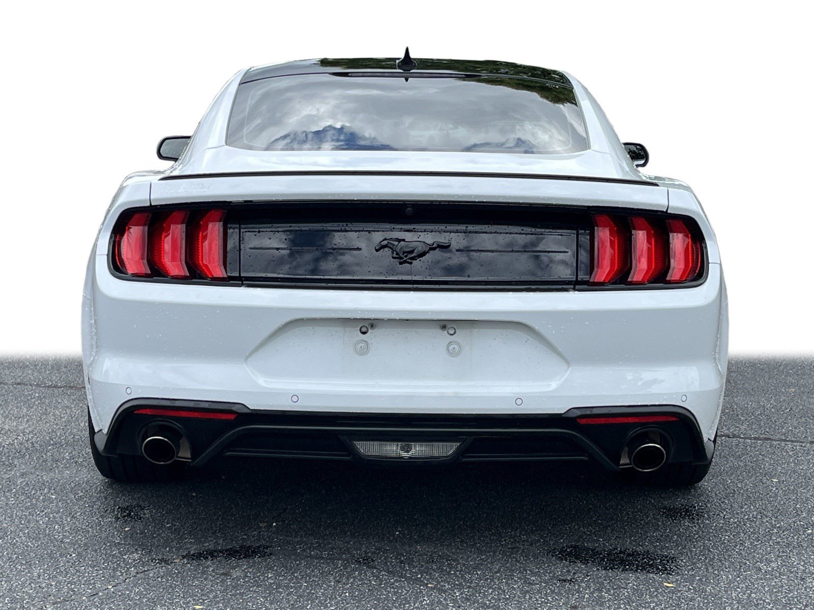 2022 Ford Mustang EcoBoost photo 16