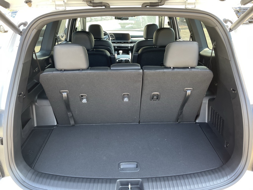 2025 Kia Telluride EX X-Line photo 9