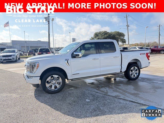 2023 Ford F-150 Platinum's photo