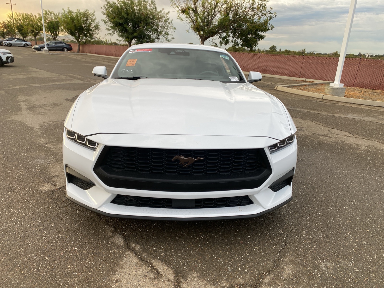 2024 Ford Mustang EcoBoost Premium photo 2