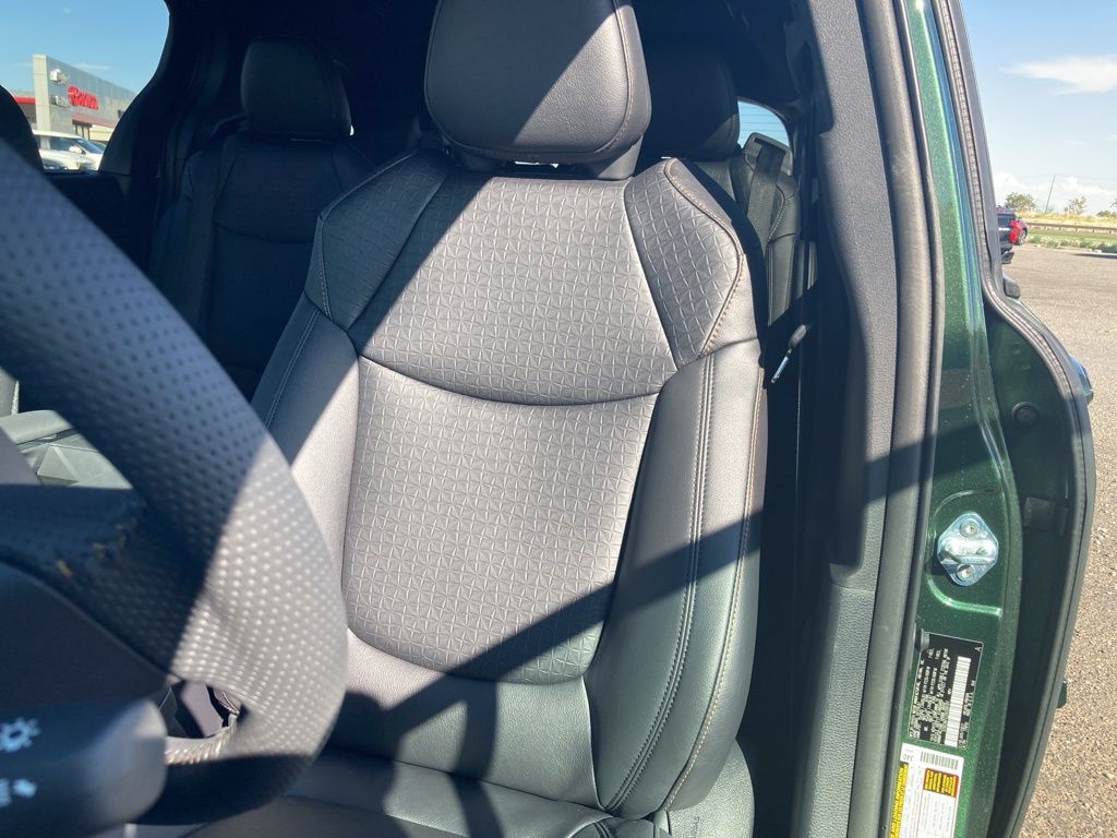 2025 Toyota Sienna Woodland Edition photo 14