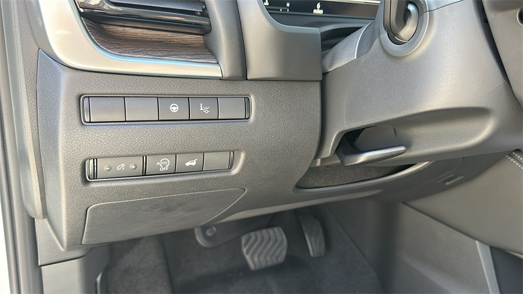 2025 Nissan Rogue Platinum photo 18