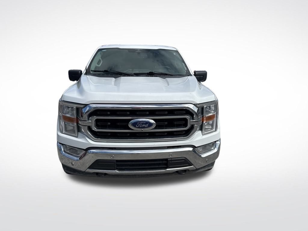 2023 Ford F-150 XLT photo 4