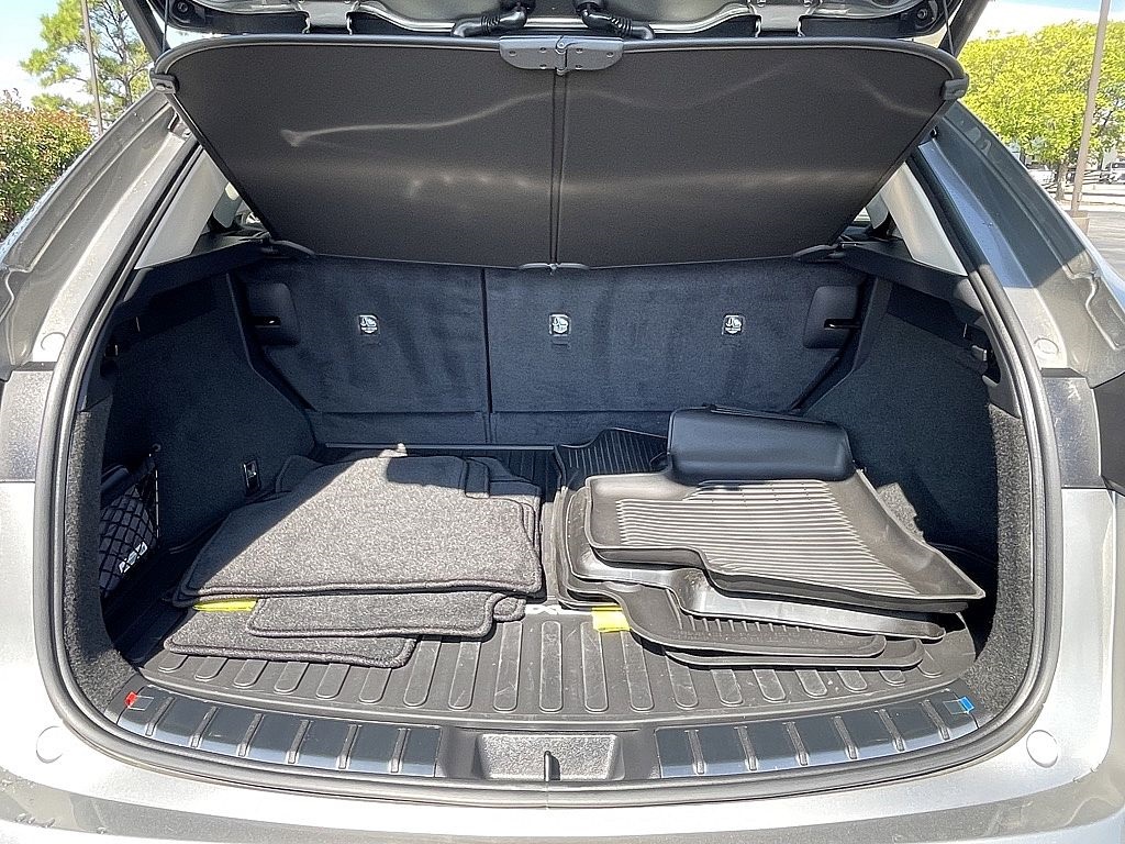 2025 Lexus NX 350h Premium photo 23
