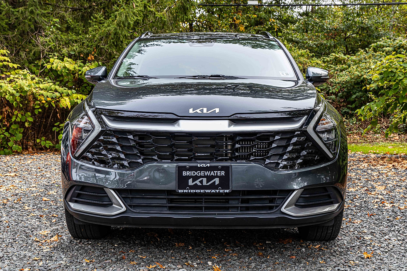 2023 Kia Sportage Hybrid EX photo 2