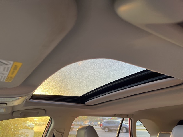 2019 Toyota RAV4 XLE Premium photo 10