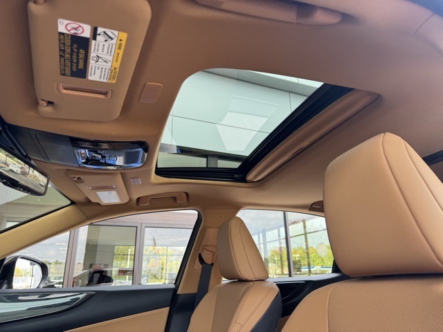 2025 Lexus NX 350 Premium photo 12