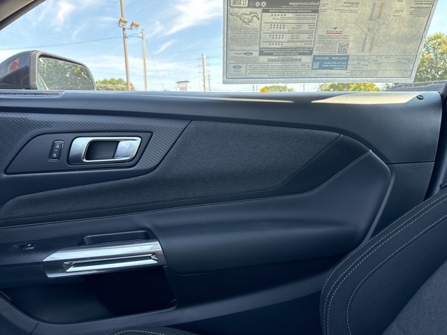 2025 Ford Mustang GT photo 29