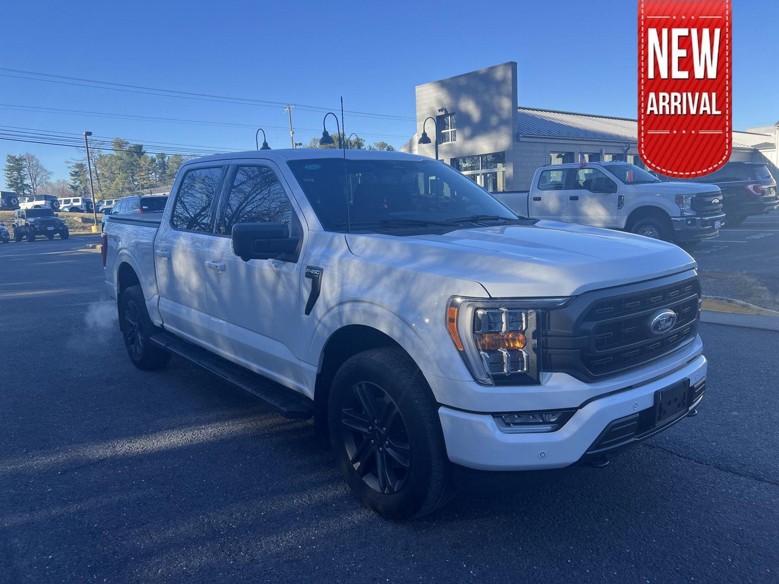 2023 Ford F-150 XLT's photo