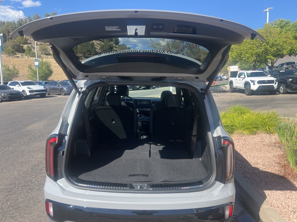 2025 Kia Telluride SX Prestige X-Line photo 8