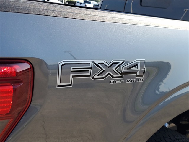 2025 Ford F-150 XLT photo 5