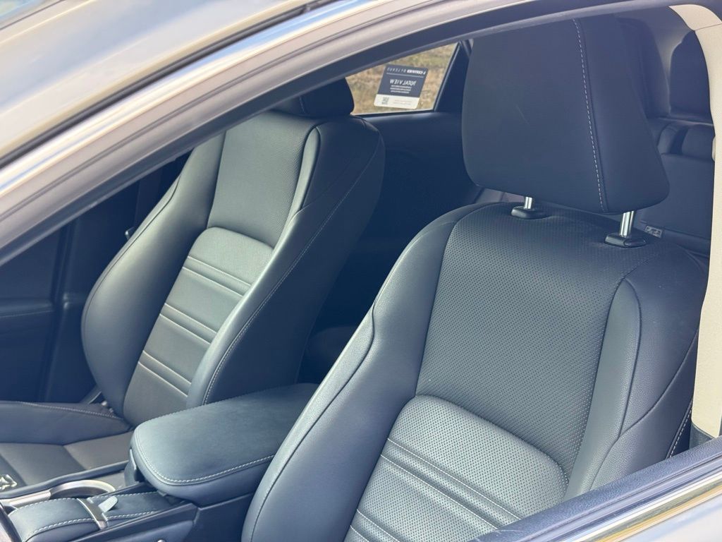 2019 Lexus NX 300h Luxury photo 19