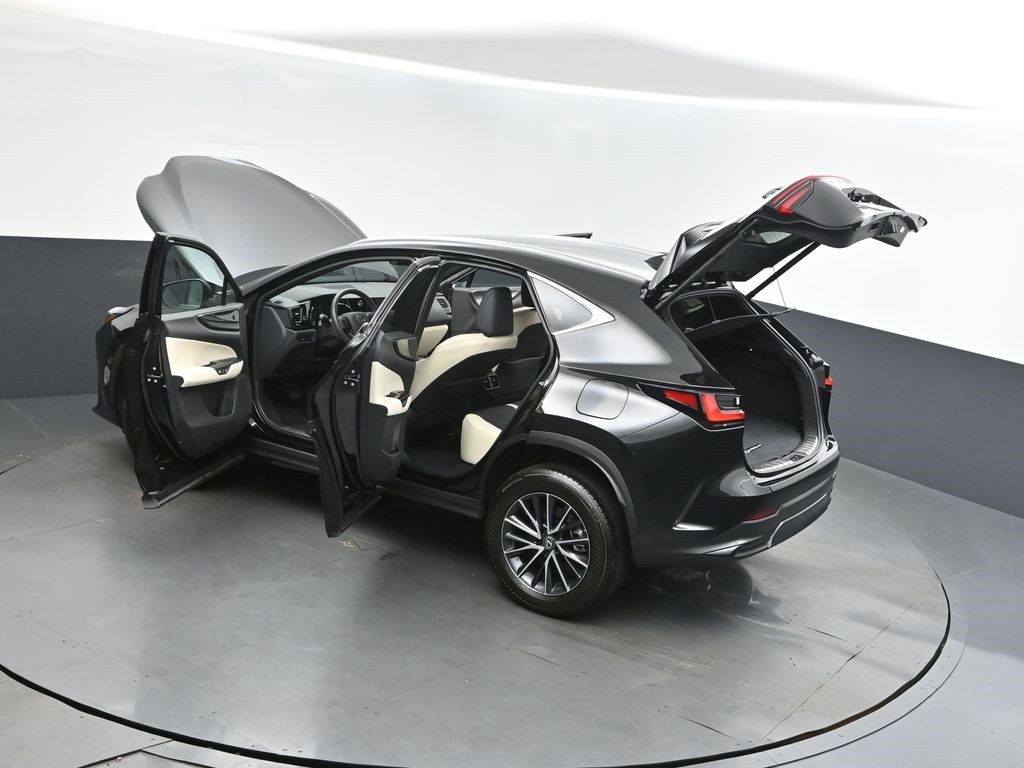 2024 Lexus NX 250 photo 2