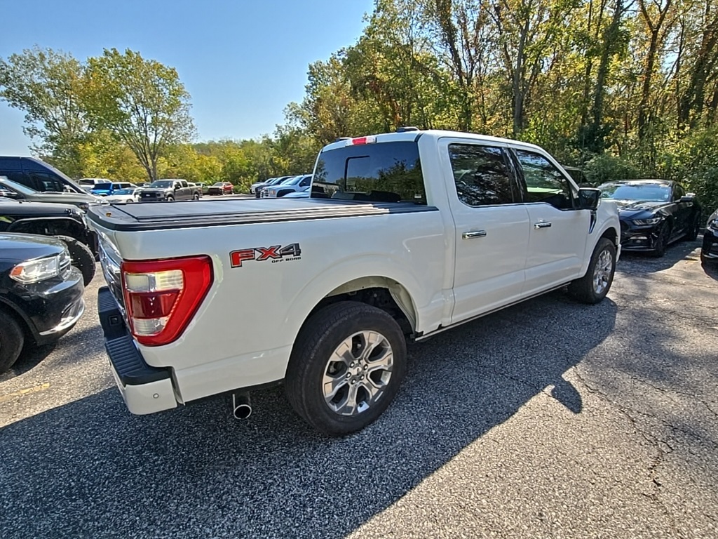 2023 Ford F-150 Platinum photo 8