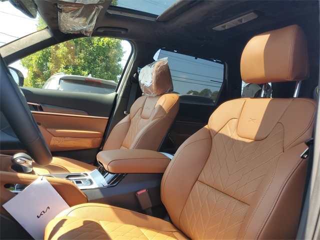 2025 Kia Telluride SX Prestige X-Line photo 11
