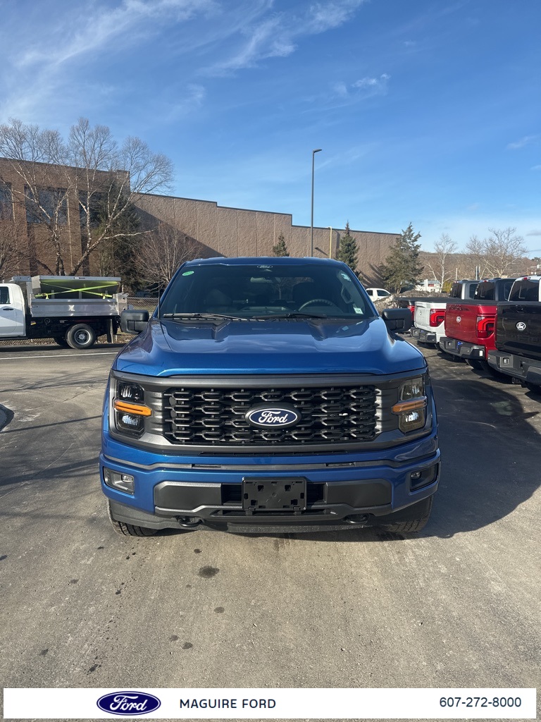 2025 Ford F-150 STX's photo