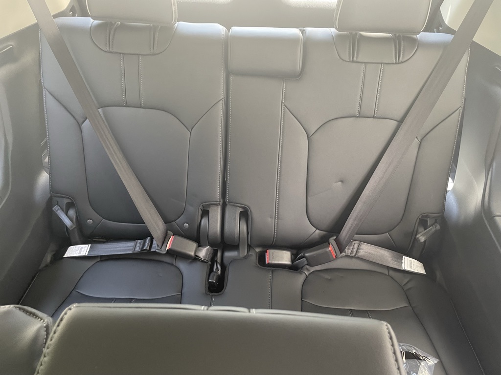 2025 Honda Pilot Elite photo 8