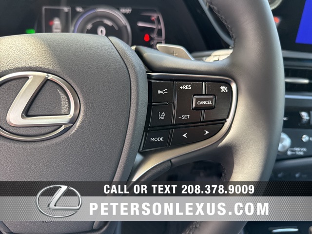 2025 Lexus ES 300h photo 21