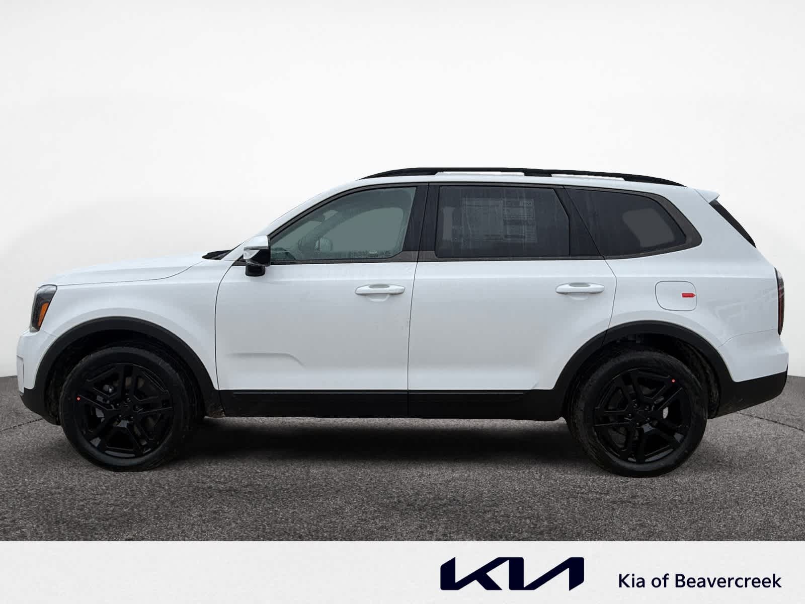 2025 Kia Telluride SX X-Line photo 2