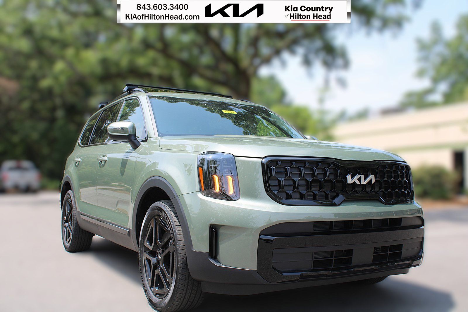 2025 Kia Telluride EX X-Line's photo